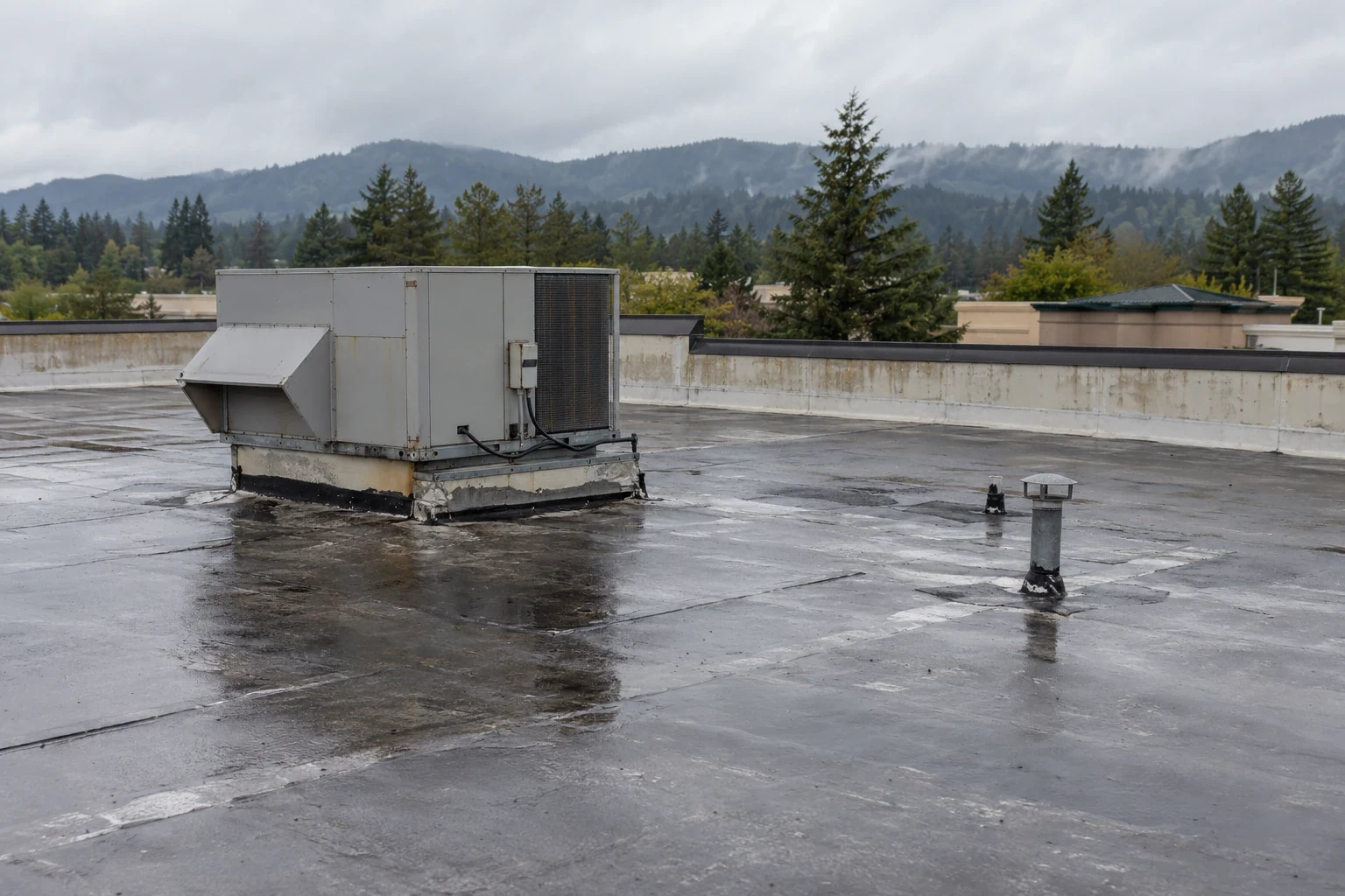 Grocery Store Roofing in Beaverton, OR