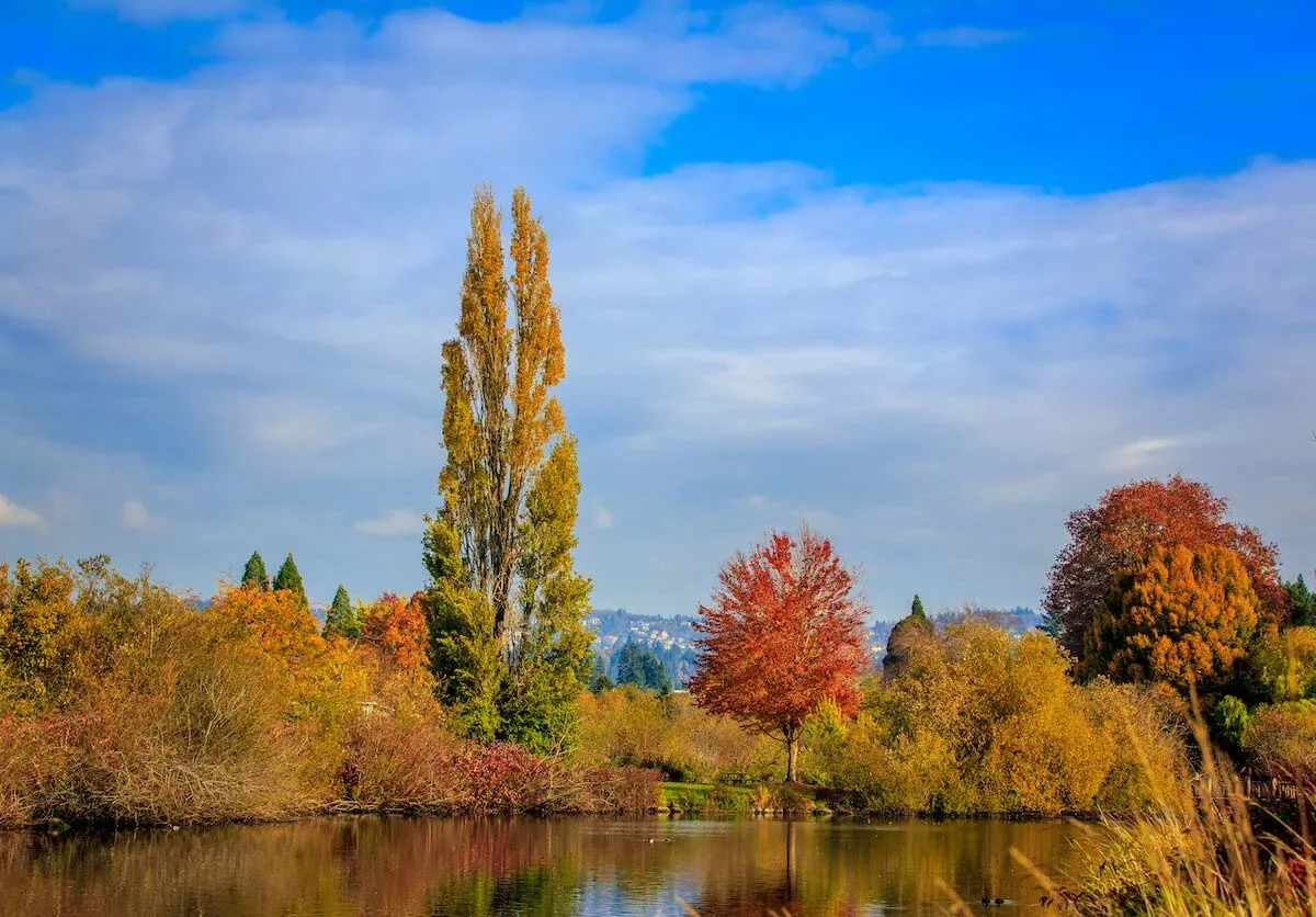 Commercial Roofing in Cedar Mill, Beaverton, OR