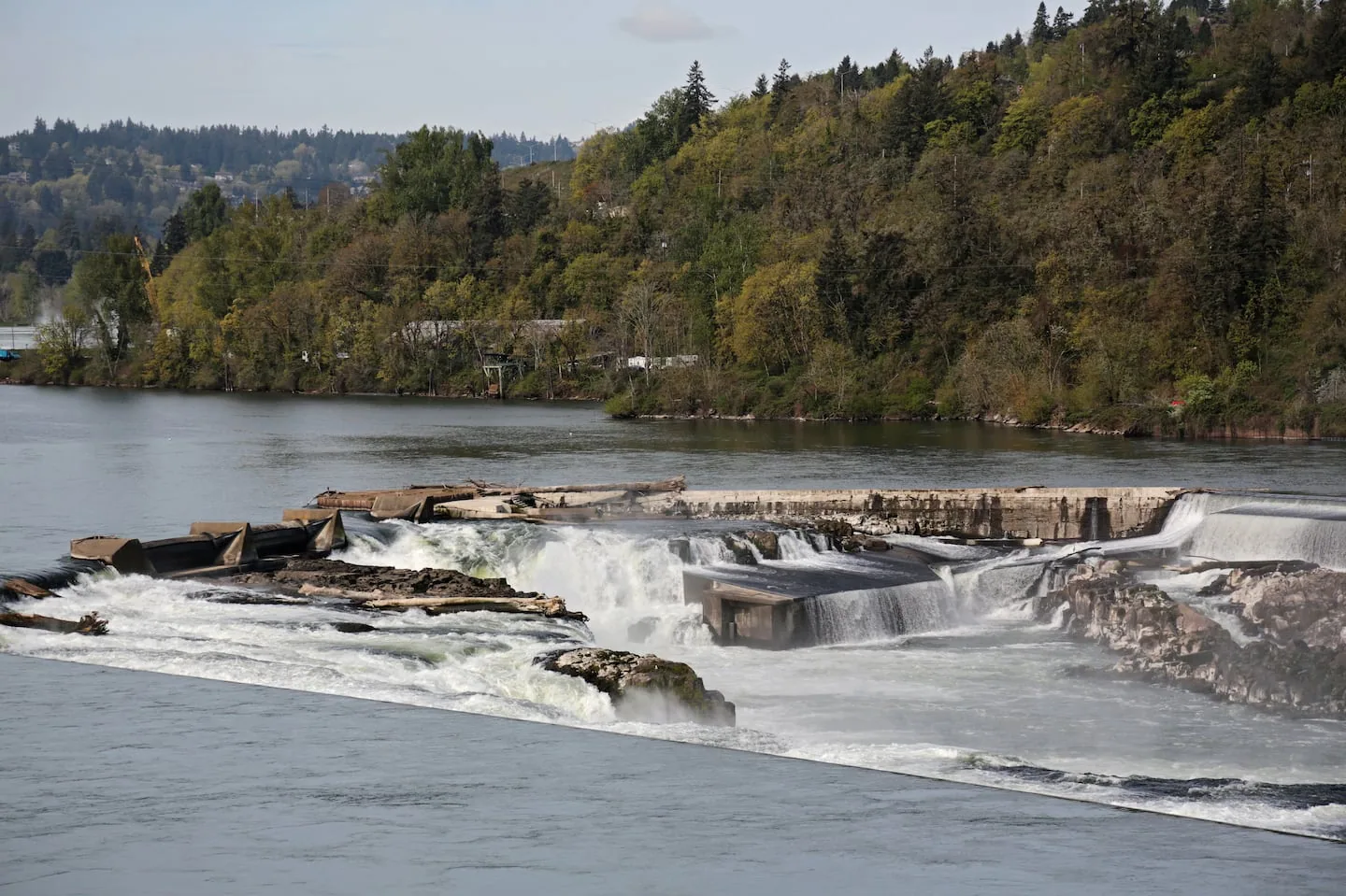 Commercial Roofing in Oregon City, OR