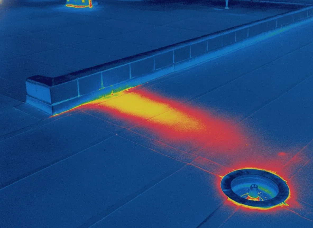 Infrared Moisture Survey in Beaverton, OR